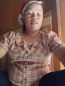 Ip34 webcam