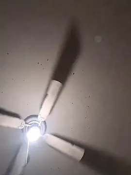 Cnutt310 live cam