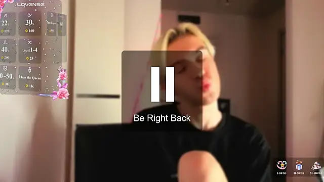 skibatryanka webcam
