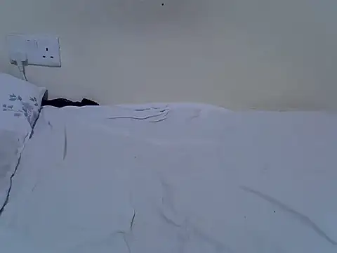Twerl webcam