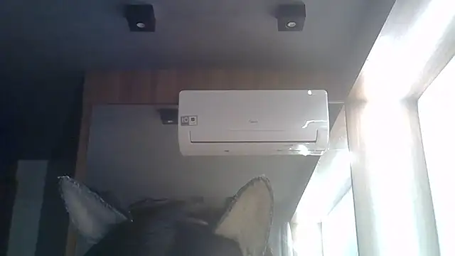 SkinnyKitten live cam