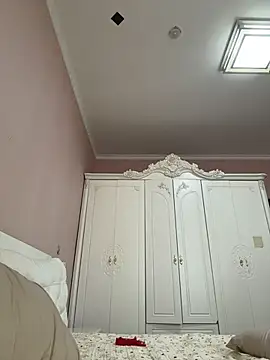 yanzi520 webcam