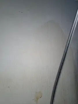 fertwin webcam