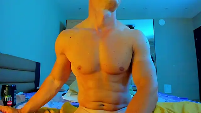 Shestifold_