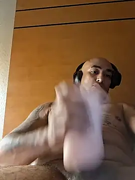 Mac15151 webcam
