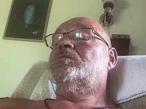 harburger40 webcam