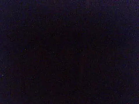 pietje1991