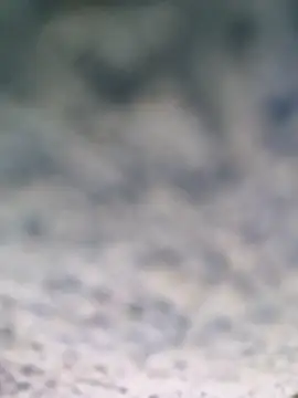 B-B-C-8 webcam