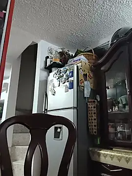Exlifer webcam