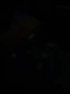 queenkelly1234