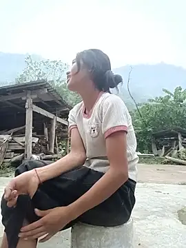 Hoa-tuylip webcam