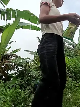 Hoa-tuylip