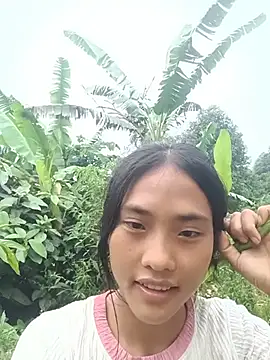 Hoa-tuylip