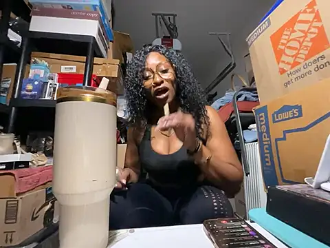 wynterheat webcam