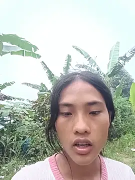 Hoa-tuylip live webcam