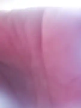 Lauren_Amabel