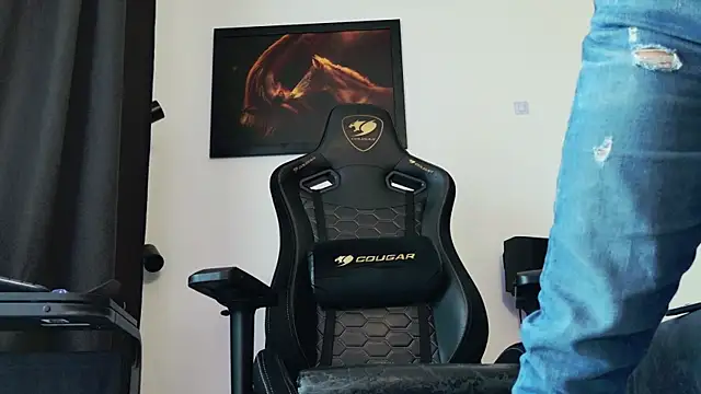ChrisKox webcam