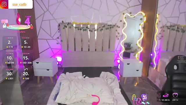 casse_tay webcam