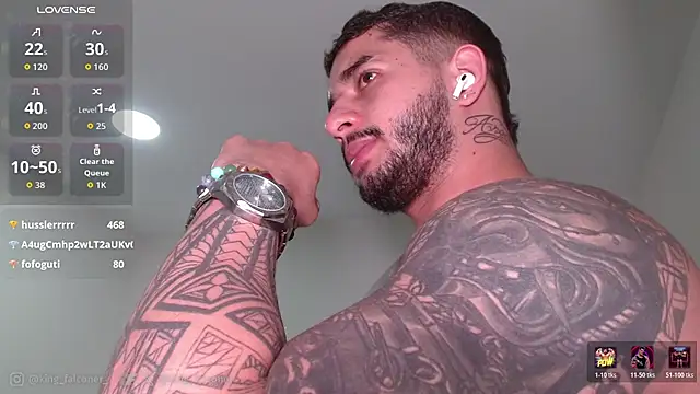 king_falconer webcam