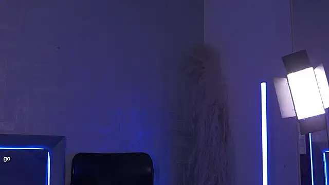 NiklasBruun webcam