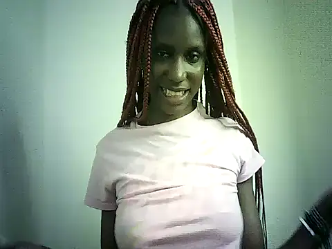 DelteAfriq webcam