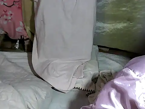 simplytrans webcam