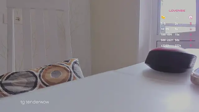 Tenderalise webcam