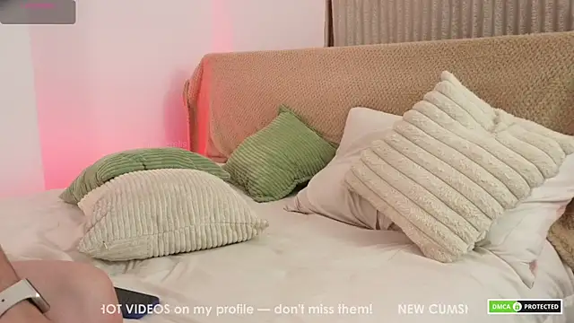 Erelisstrip webcam