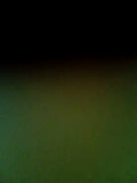 nohaylanono webcam