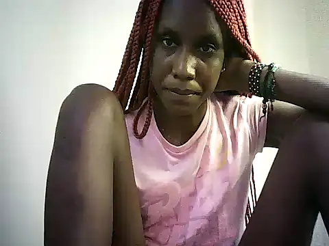 DelteAfriq webcam