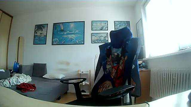 Robert_SK1 webcam