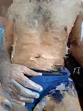 molozeb webcam