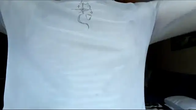BuzzingRaid webcam