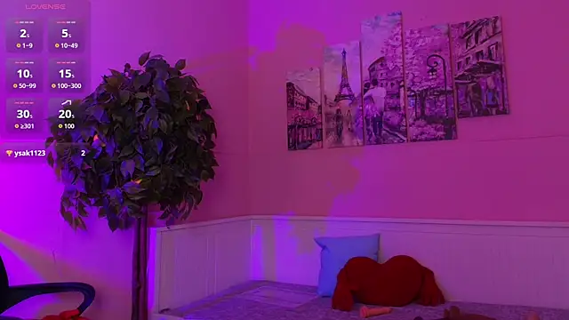 Inari_Okami_ webcam