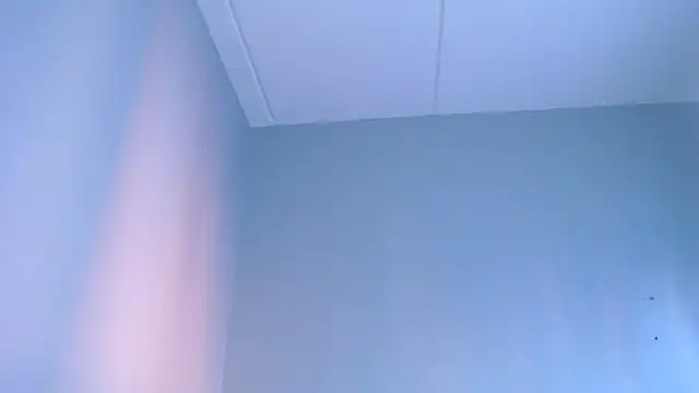 Silkytitss webcam
