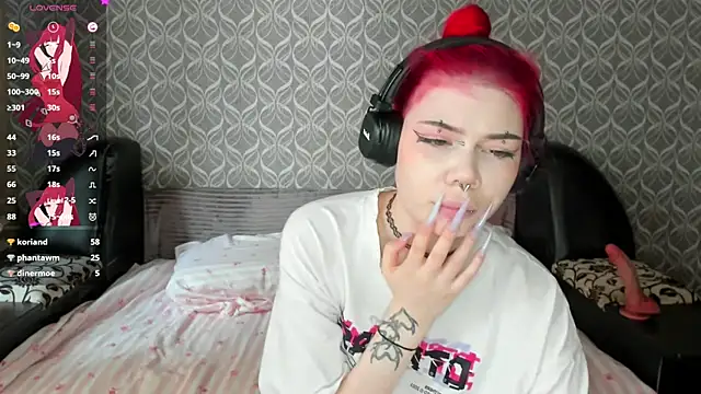 Veldenga webcam