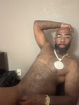 QHefner52 webcam