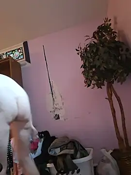 bam420bam webcam