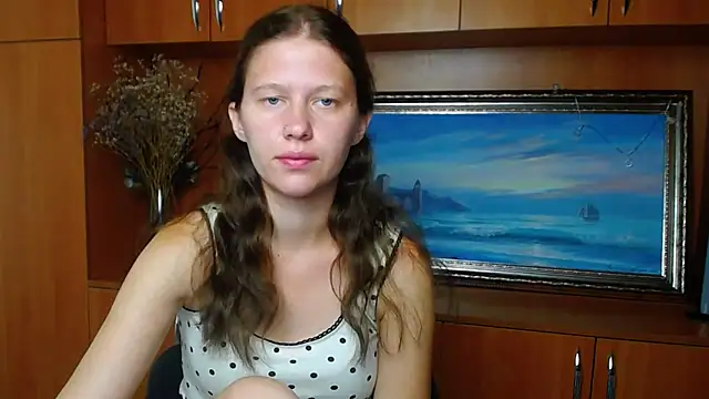 StellaCRL webcam