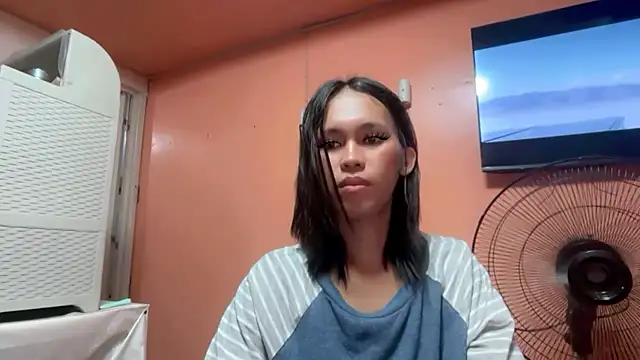 Templar_yokada webcam