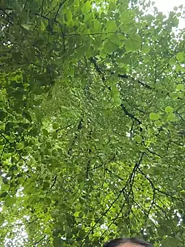 trytomakememoam webcam