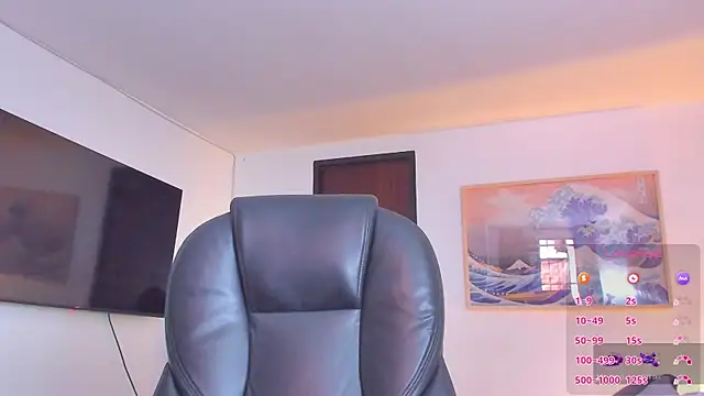 RJBarto webcam