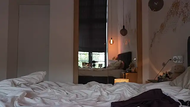 ibiddi webcam