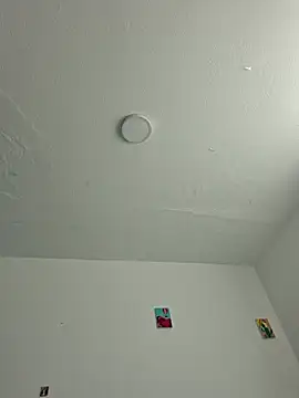 IrisBound webcam