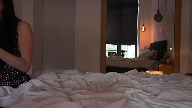 ibiddi webcam