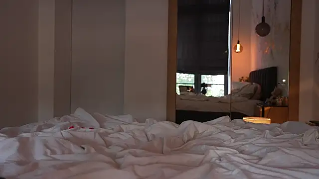 ibiddi webcam