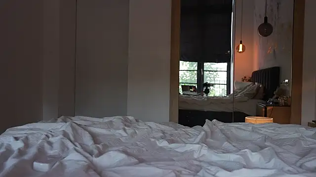 ibiddi webcam