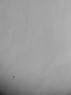 Noscay webcam