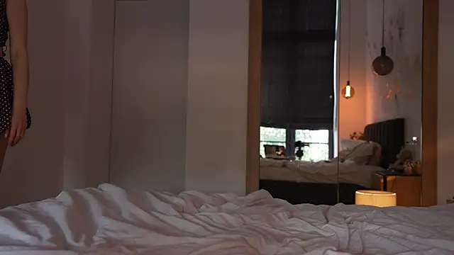 ibiddi webcam