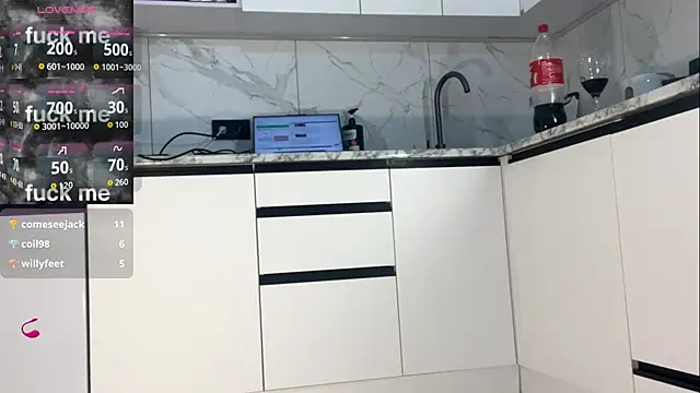 Marina- webcam